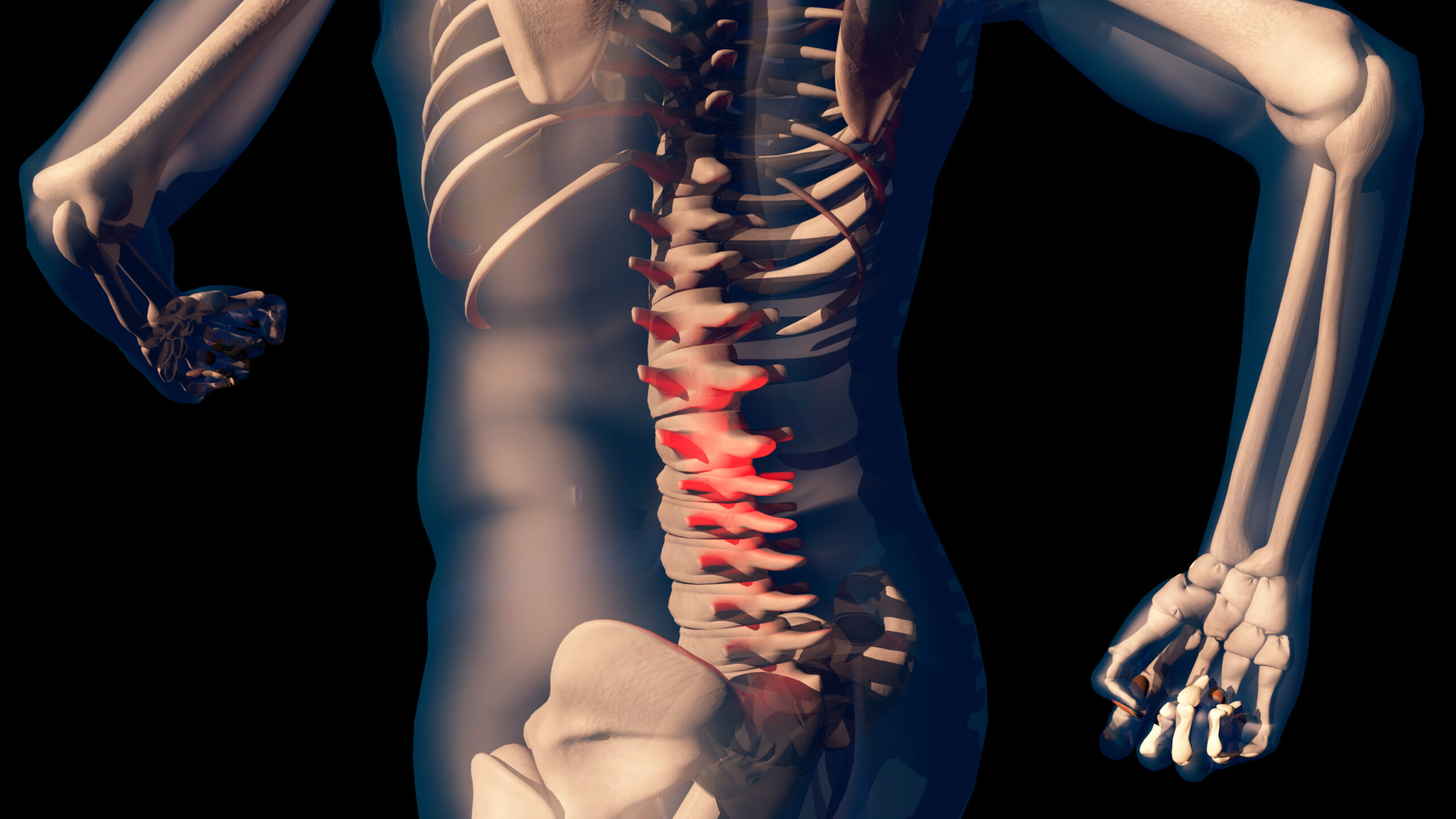 Featured image for “What is Chiropractic?”